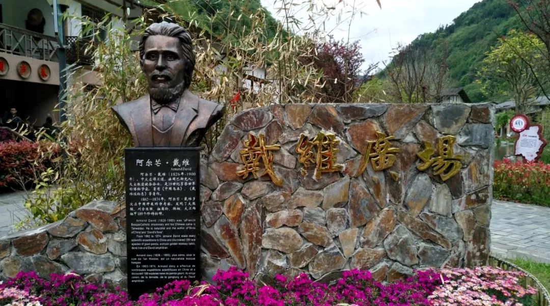 1939年被偷到英国的大熊猫,美国人偷走大熊猫后续