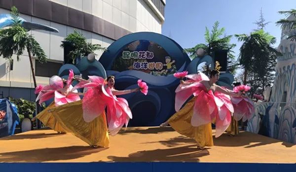 海花岛海洋乐园萌宠表演场,海花岛海洋乐园萌宠剧场