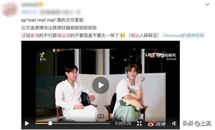 潮汕人泰语,潮汕人讲泰语