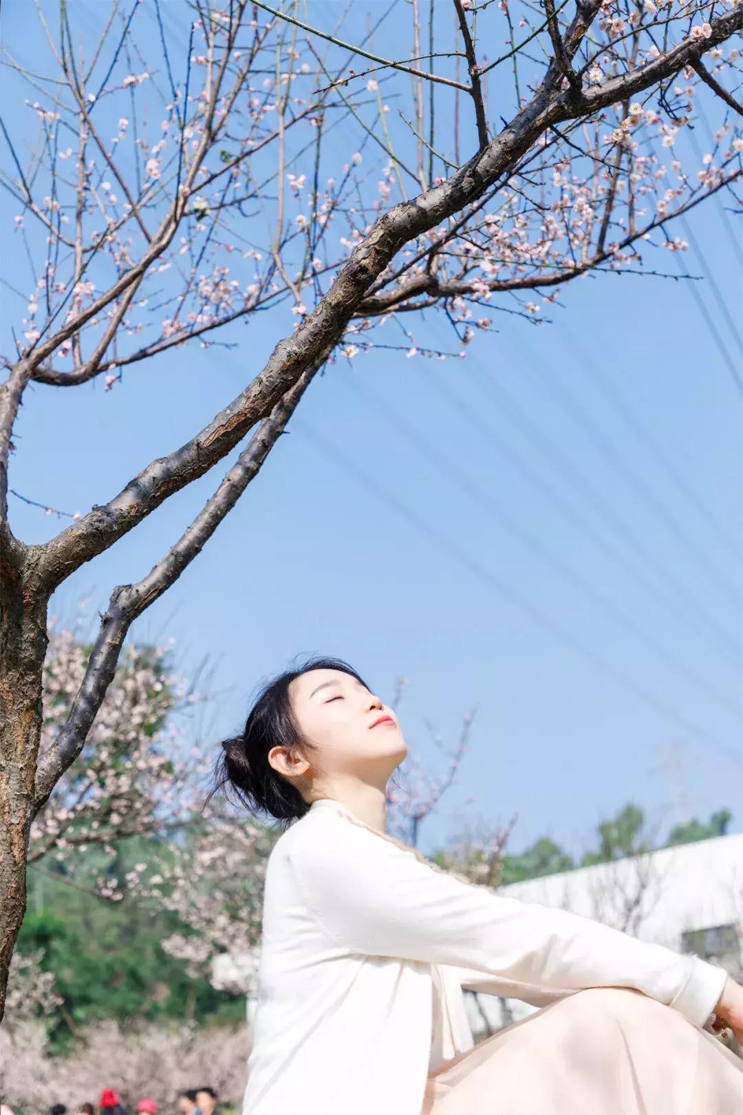 深圳隐秘风景,深圳粉色花海视频