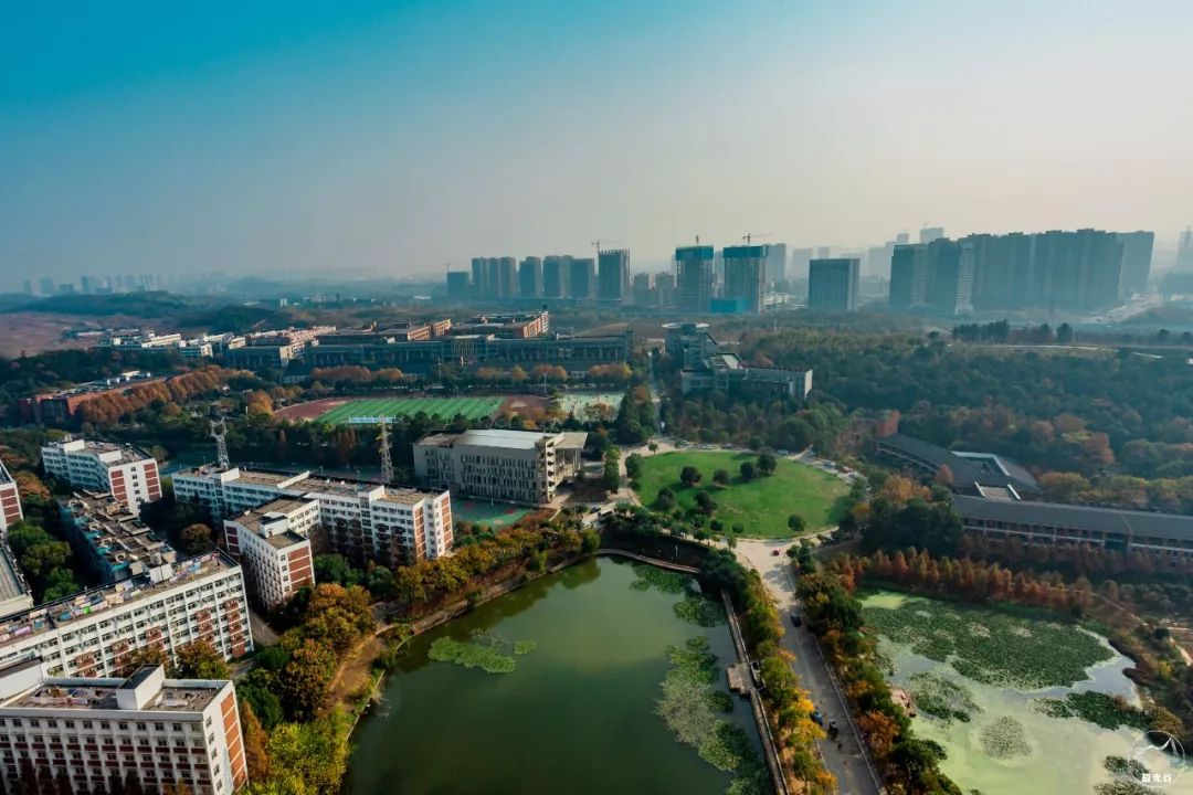 不输武大樱花，文华学院美“枫”了