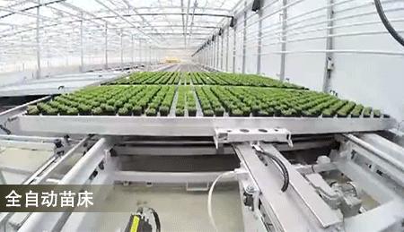 俯瞰珠海全景最佳地点,珠海这个地方好吗