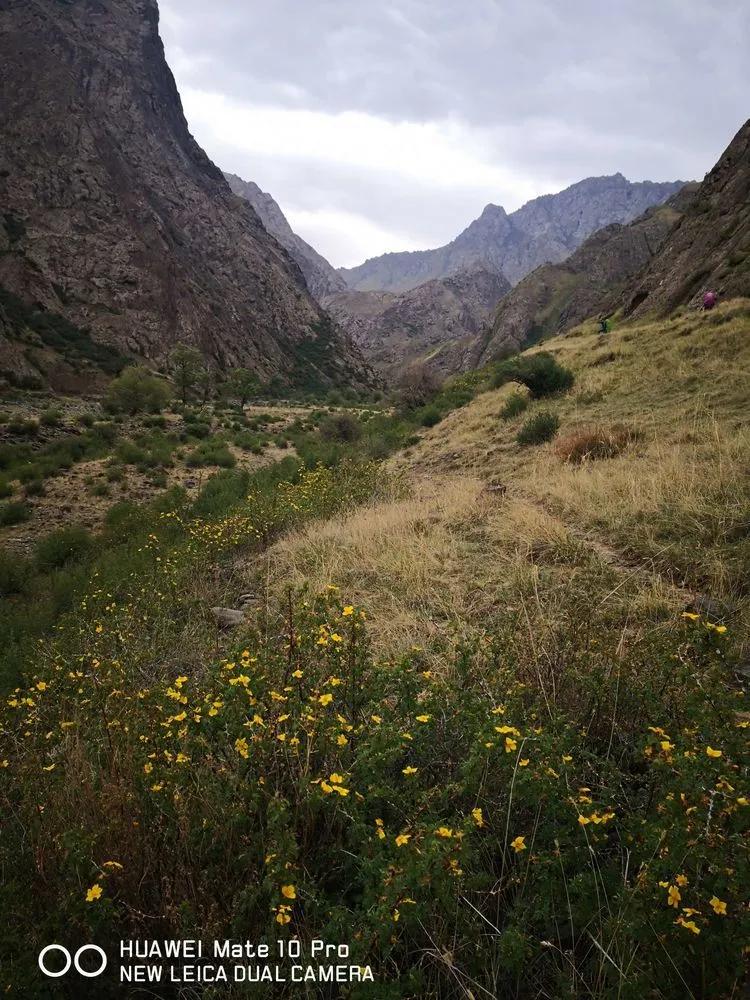 传说中的天狼之路，是否值得一走？