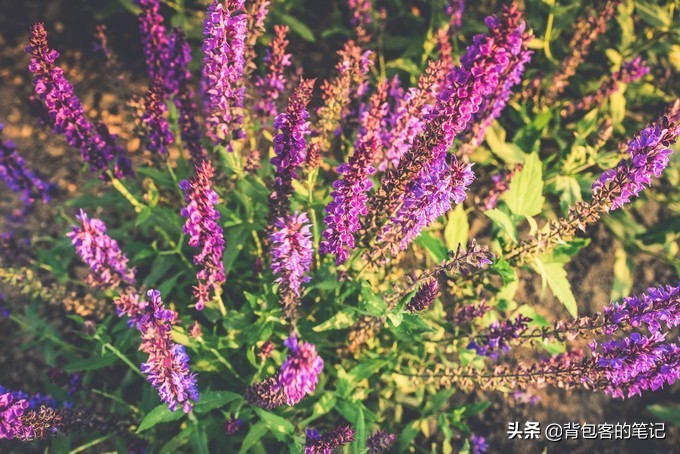 京津冀骑行网红打卡地,京津地区小众网红打卡地