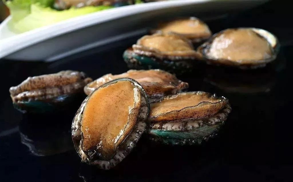 鲍鱼价格大降创近年新低,大鲜鲍鱼价格最新行情今日