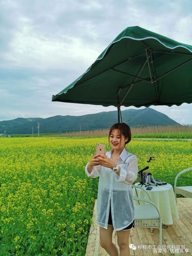 穆棱最美的花海,穆棱七彩花田一场美丽的邂逅