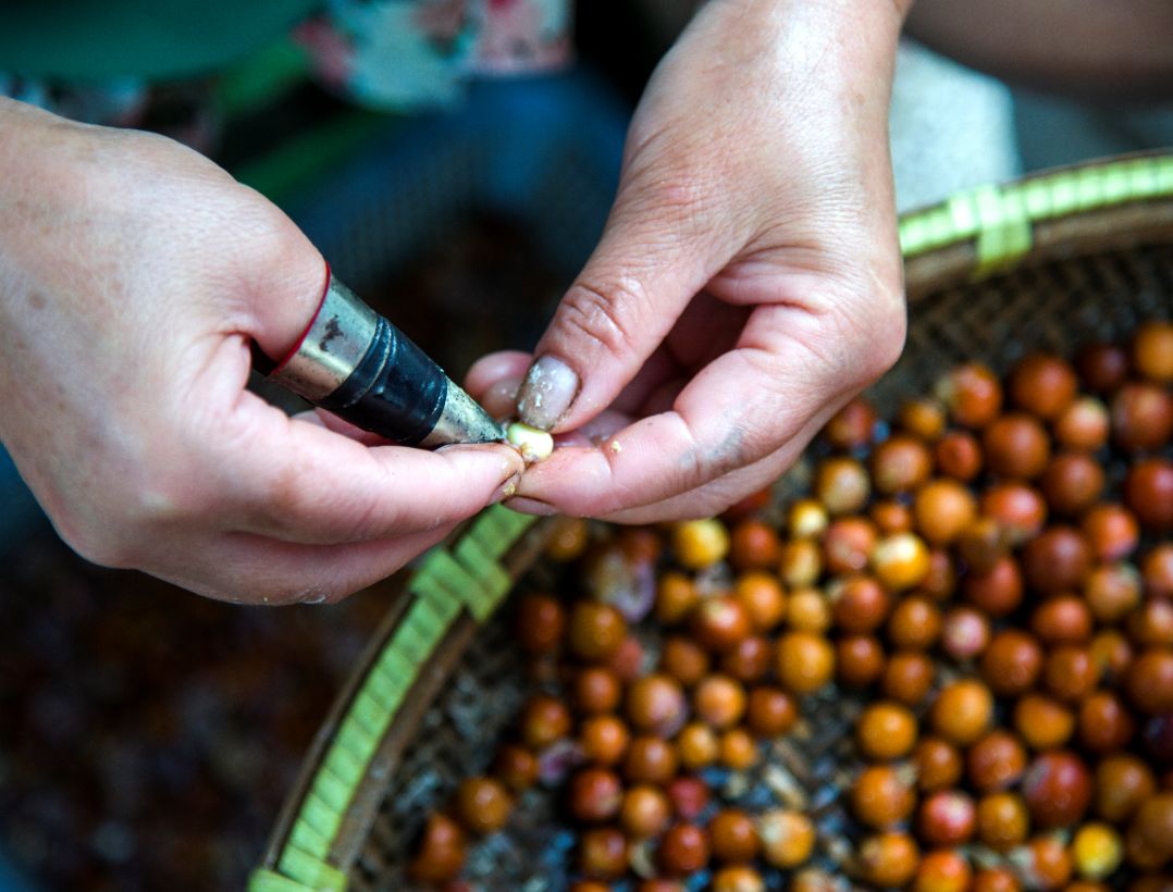 这“八仙”里，藏着最地道的江南味道