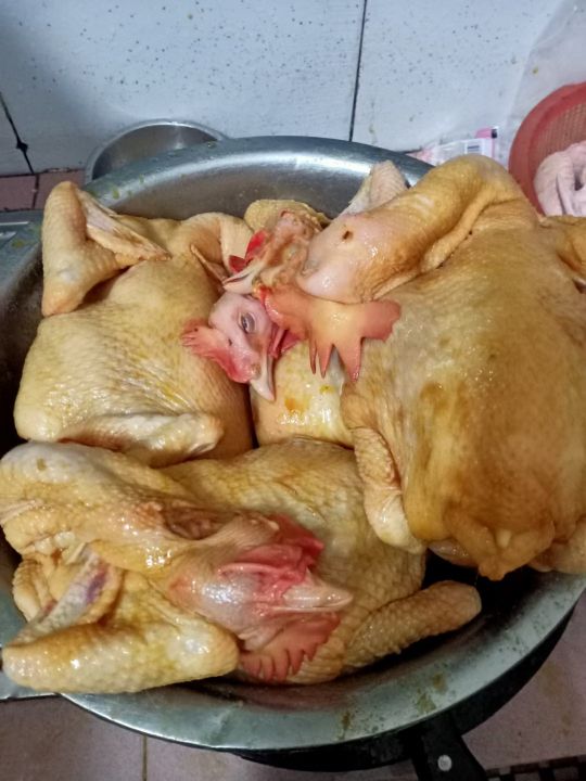 清明祭祖有哪些流程习俗,陕西民间清明祭祖习俗