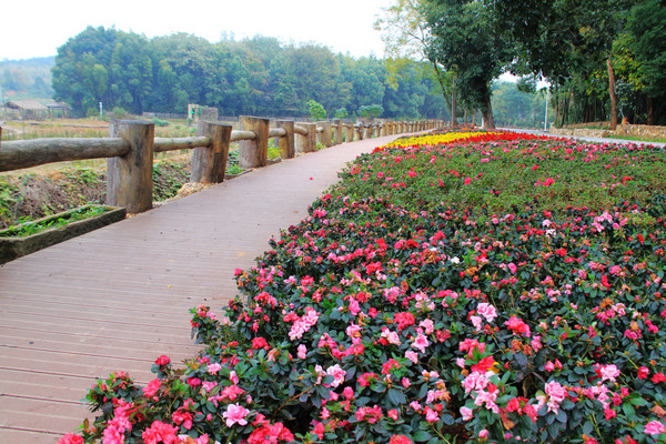 鄱湖之秋,鄱湖之滨信江之畔余干