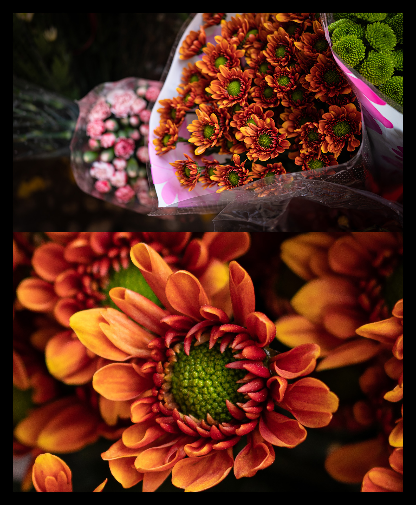 腾龙24mmf2.8全画幅广角微单镜头,腾龙352.8索尼镜头