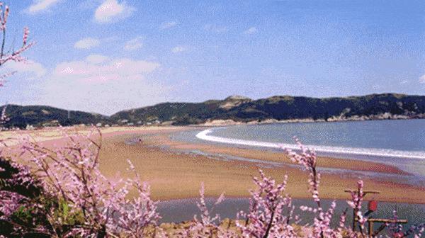 舟山桃花岛最佳旅游时间,舟山桃花岛游玩攻略
