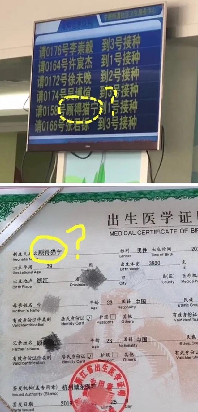 珍藏很久的40张趣图看完都笑疯了,逗趣图片