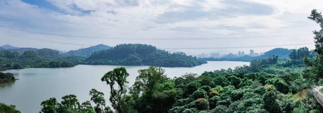 深圳这10条绿道你去过没,深圳十大绿道排行榜