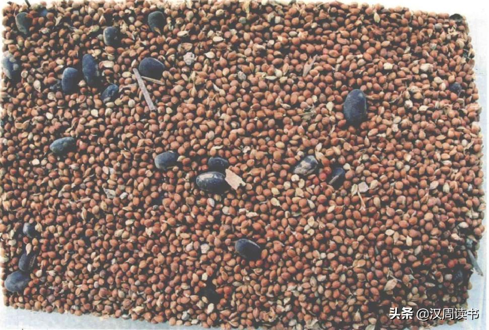 楚汉之争的七个小故事,楚汉争霸的7个小故事