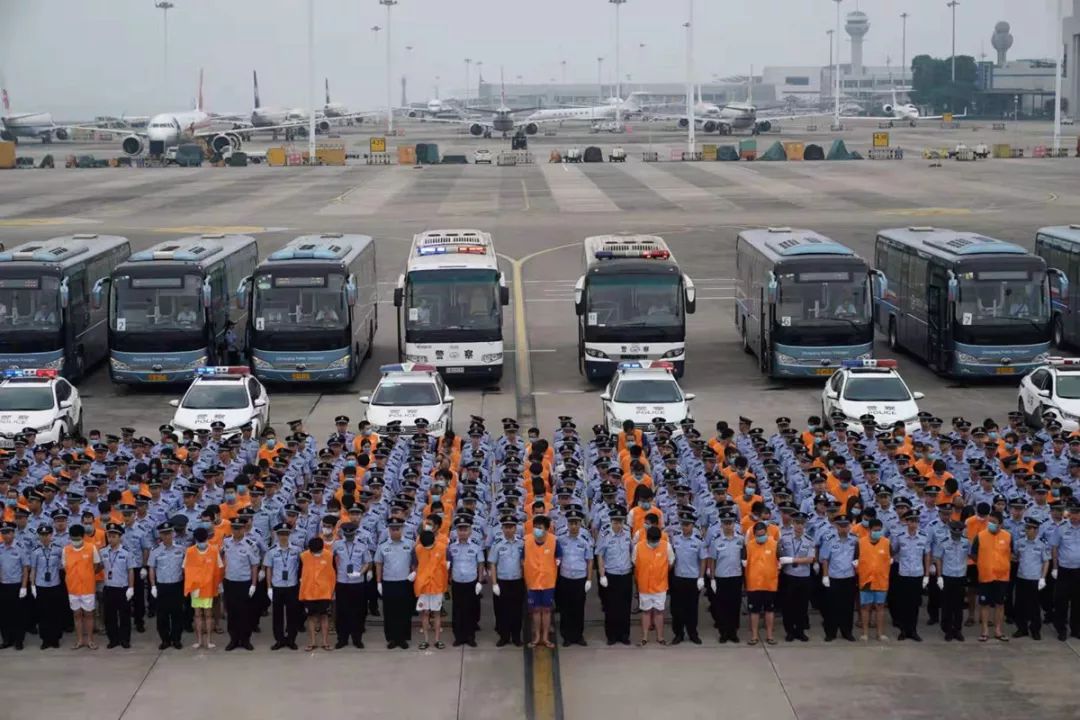 中国十大杀猪盘,2019杀猪盘上榜