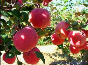 学霸说理综能考270,理综273分学霸整理