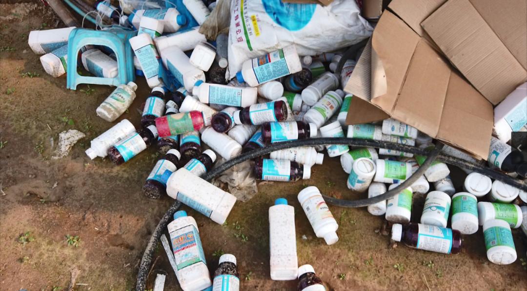 中央督察组一来就组织清退？千亩鱼塘“藏身”河南黄河湿地保护区核心区长达8年