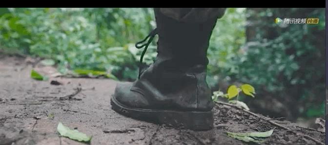 赵文卓最近的新电影,赵文卓2018年可能会上映的电影