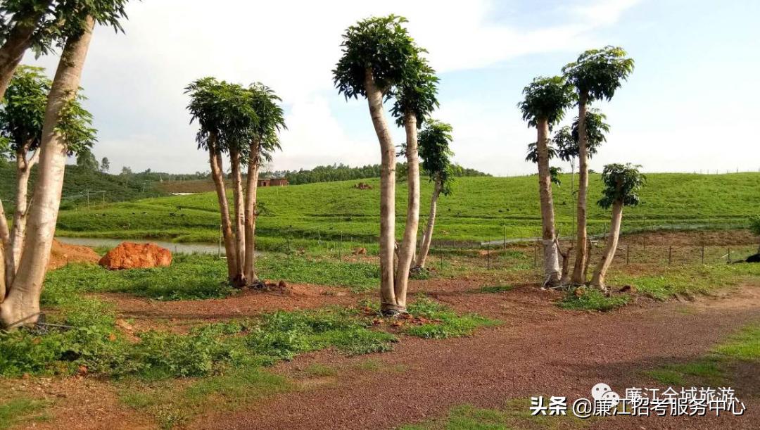 廉江乡村游,廉江旅游攻略自驾游最佳路线