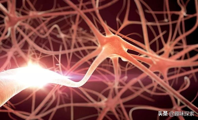 未来的脑电波控制技术,最新研究如何让大脑更聪明