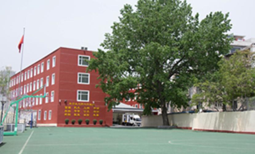 2020全景看高中|信息高级中学:双导师培养育英才