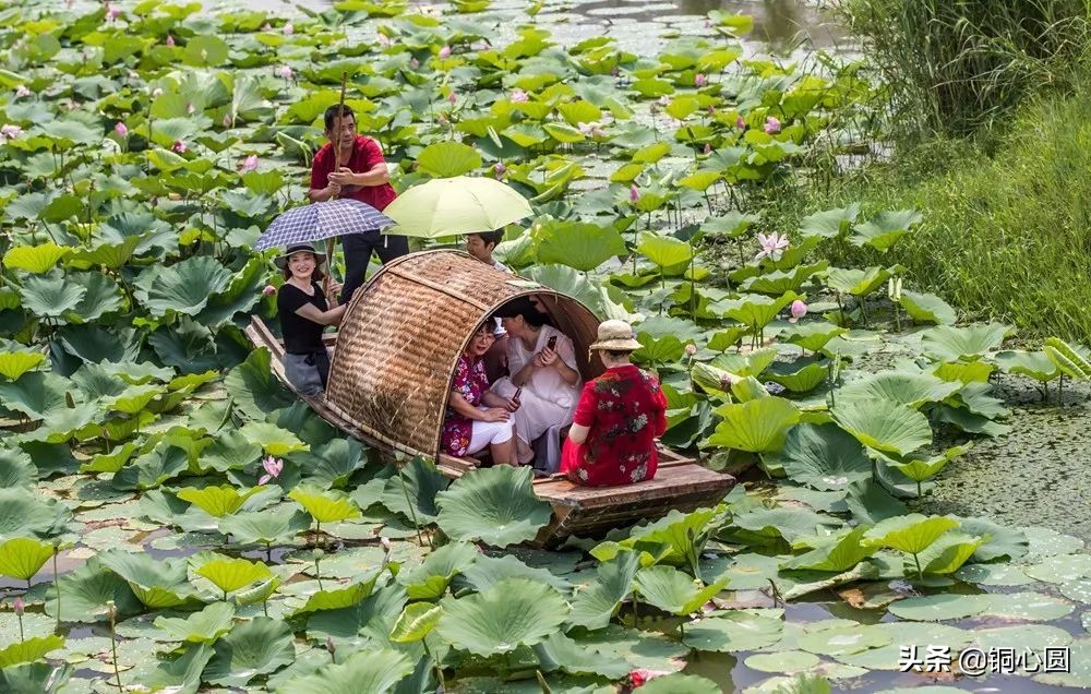 铜山,你还想怎么样
