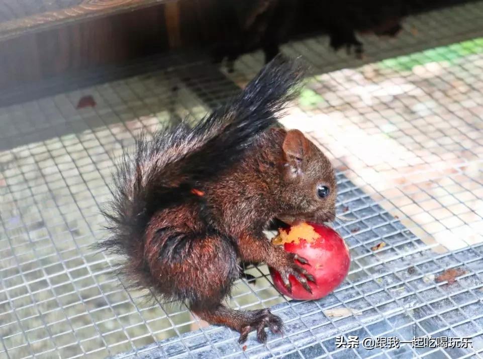 被中外地质学家誉为“地质摇篮”“地学殿堂”原来就在辽宁