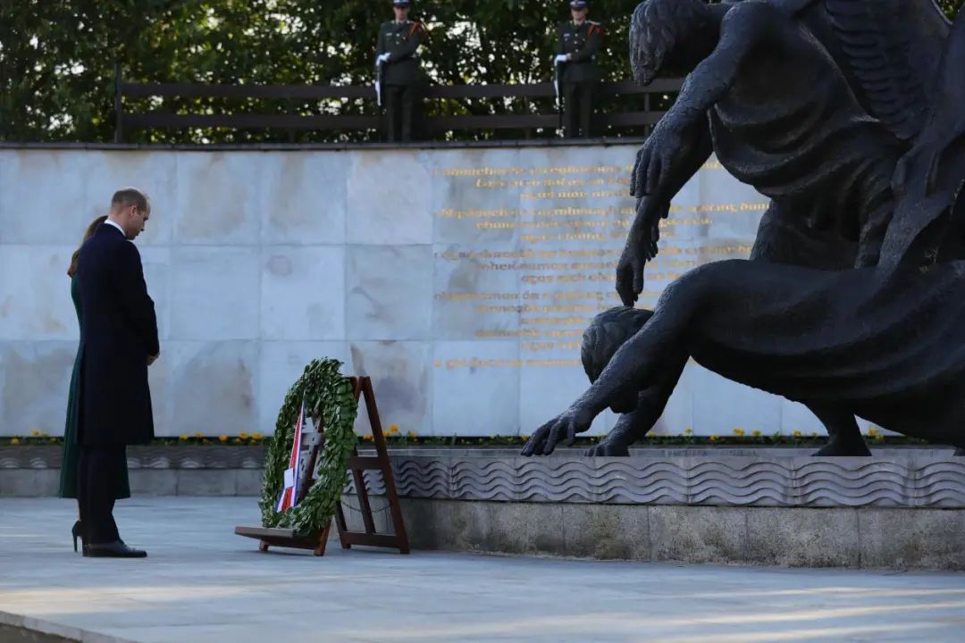 抄作业的基本步骤,凯特威廉王子访问爱尔兰