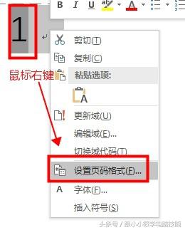 如何在整个word文档里设置页码,在word文档中如何设置不同的页码