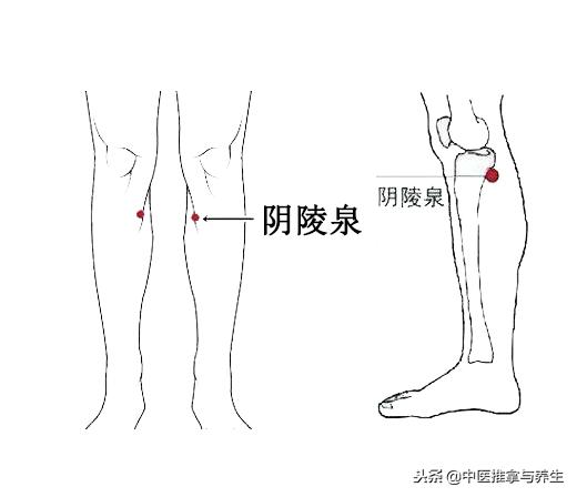 前列腺要健康，就找中医推拿！