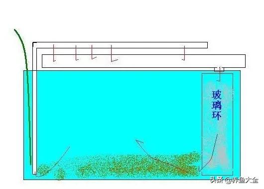 鱼缸过滤详细讲解,学会这一招鱼缸清澈