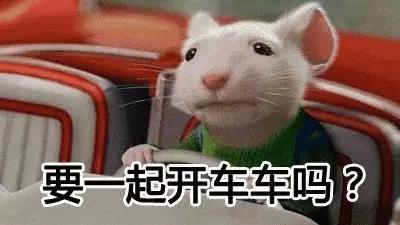 明明绝育了猫咪为什么还叫,明明是已经绝育的公猫