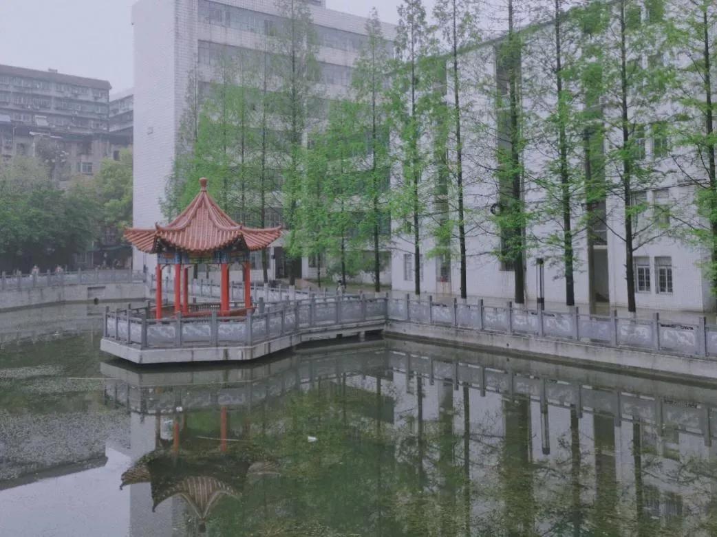 湖北即将新建的大学,湖北将整体搬迁的大学