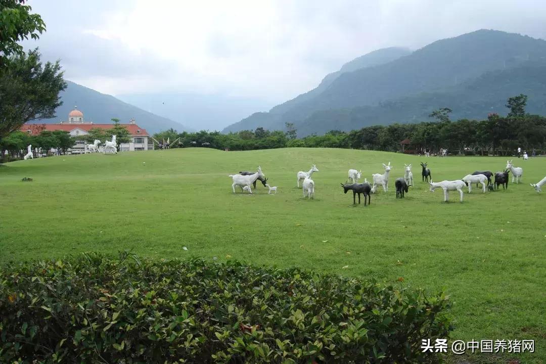 2021四川家庭农场补贴标准一览表,2022年家庭农场都有什么补贴政策