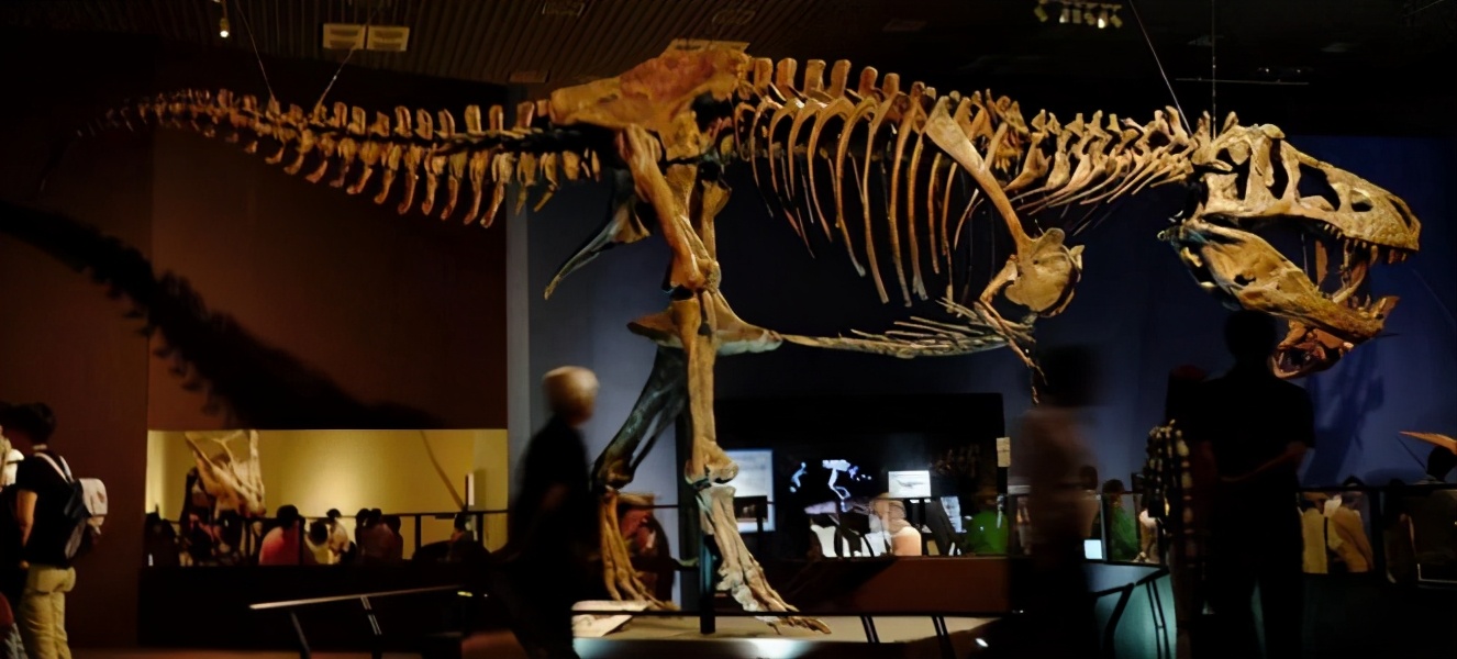 南师大的十大冷门专业,医学冷门却牛逼的专业