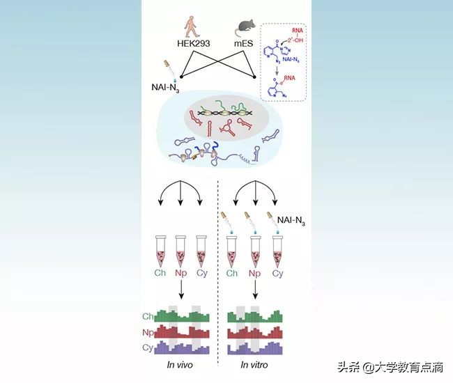 清华大学当前的前沿科技,清华大学科技成果