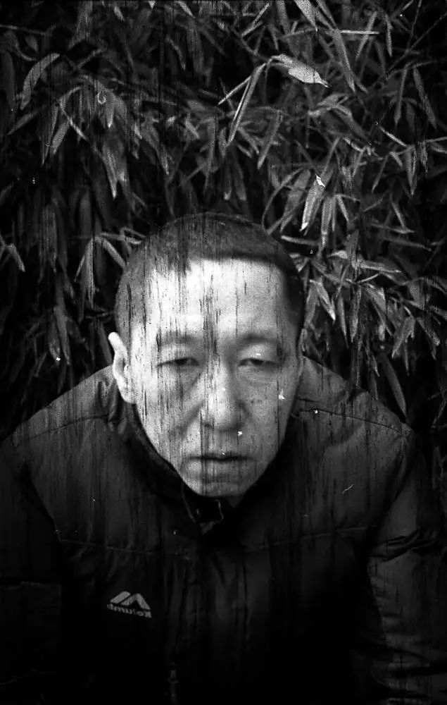 狗子像不像现实里的你,狗子真的只是宠物吗