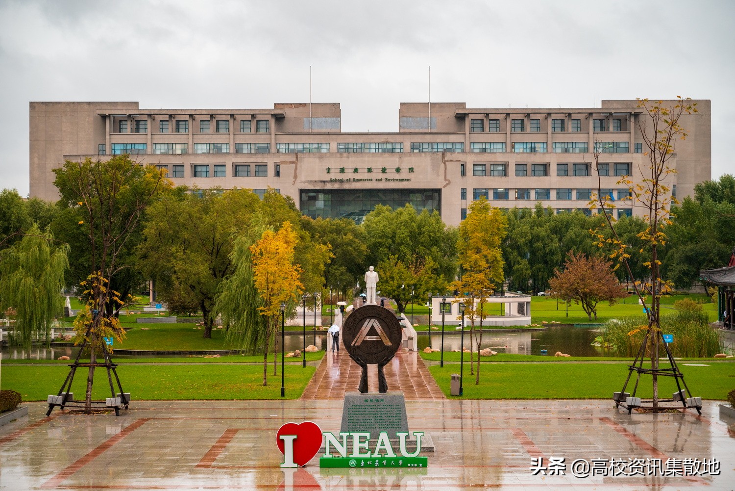 东北农大是211或是985的院校吗,东北农业大学是双一流建设高校么