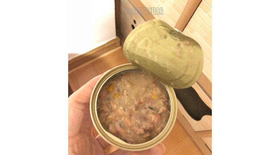 k9幼猫罐头推荐,k9巅峰猫粮