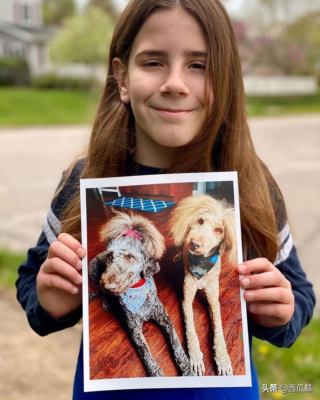 每天摸一只小狗小猫,每天摸一只小猫小狗