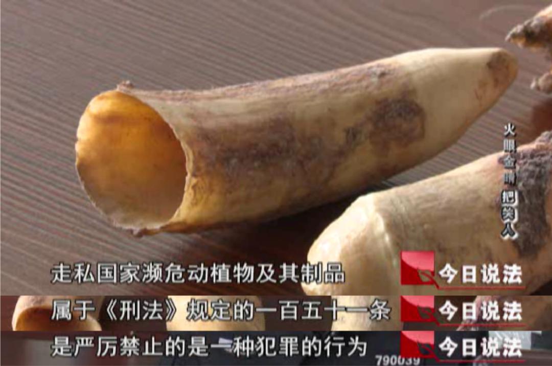 做海外代购犯法吗,自己做海外代购违法吗