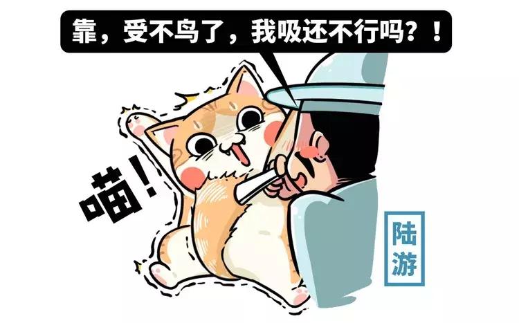 古代猫奴是什么意思,古代猫奴