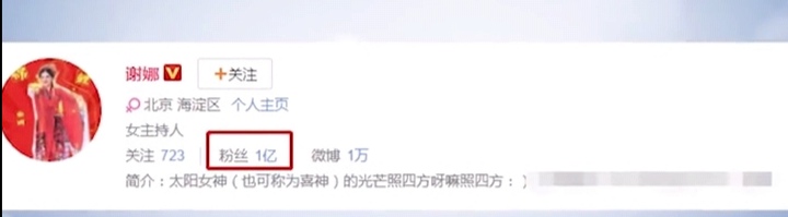 谢娜月薪,谢娜薪水