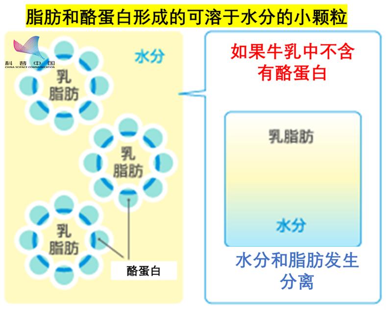 人造肉和人造奶,人造肉会取代传统肉吗