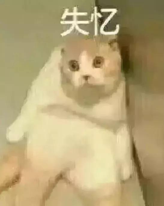 成都双流区天气14号,双流最近15天天气预报内容