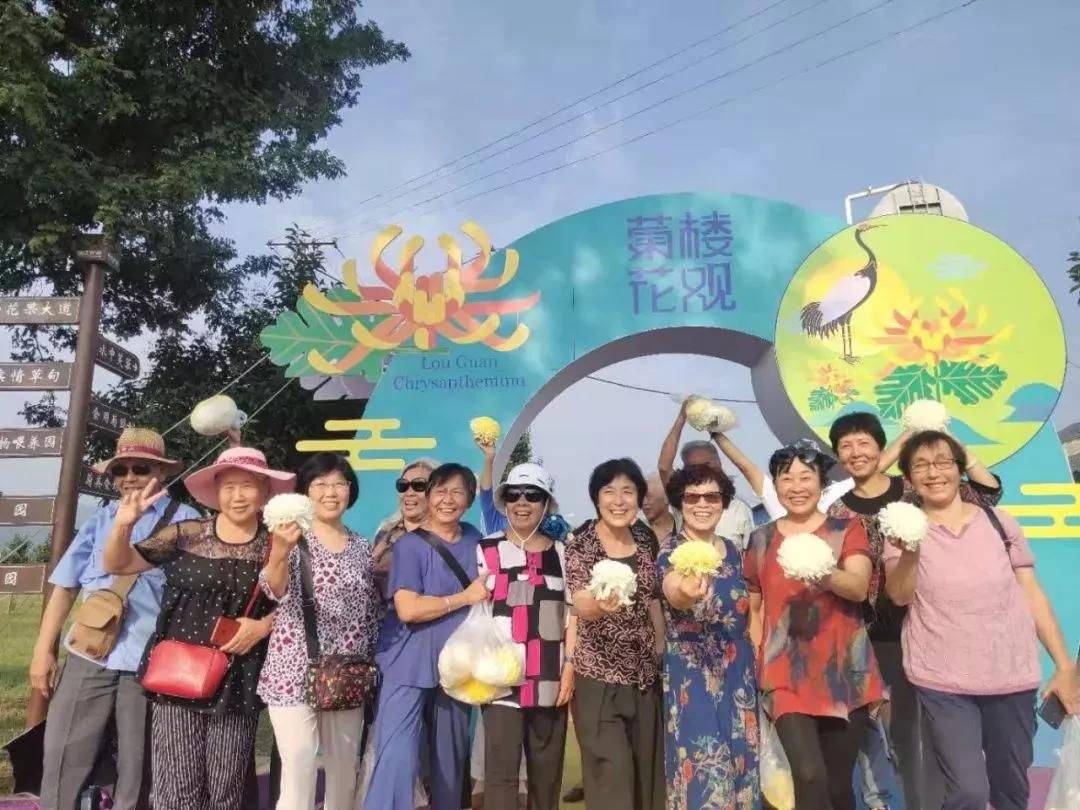 楼观台菊花展,楼观菊花