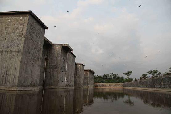 疏盏燕窝知识及鉴别,品牌干燕窝知识