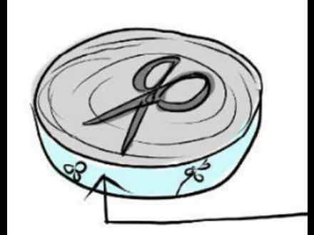 猫咪丢了最快找猫咪的方法,找回猫咪后应该怎么办