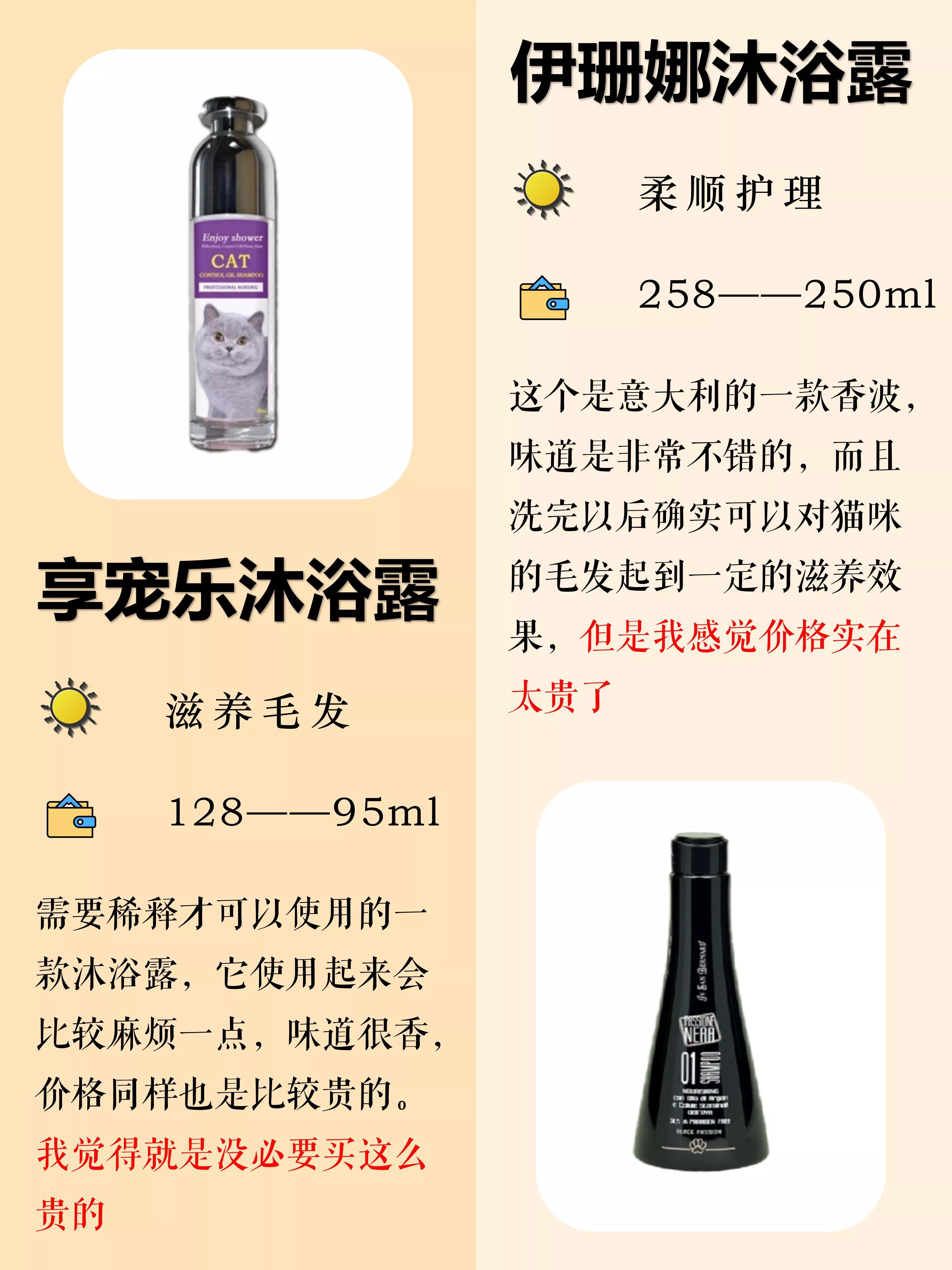 养猫新手给猫咪洗澡需要注意什么,猫咪洗澡攻略如何正确地给猫洗澡