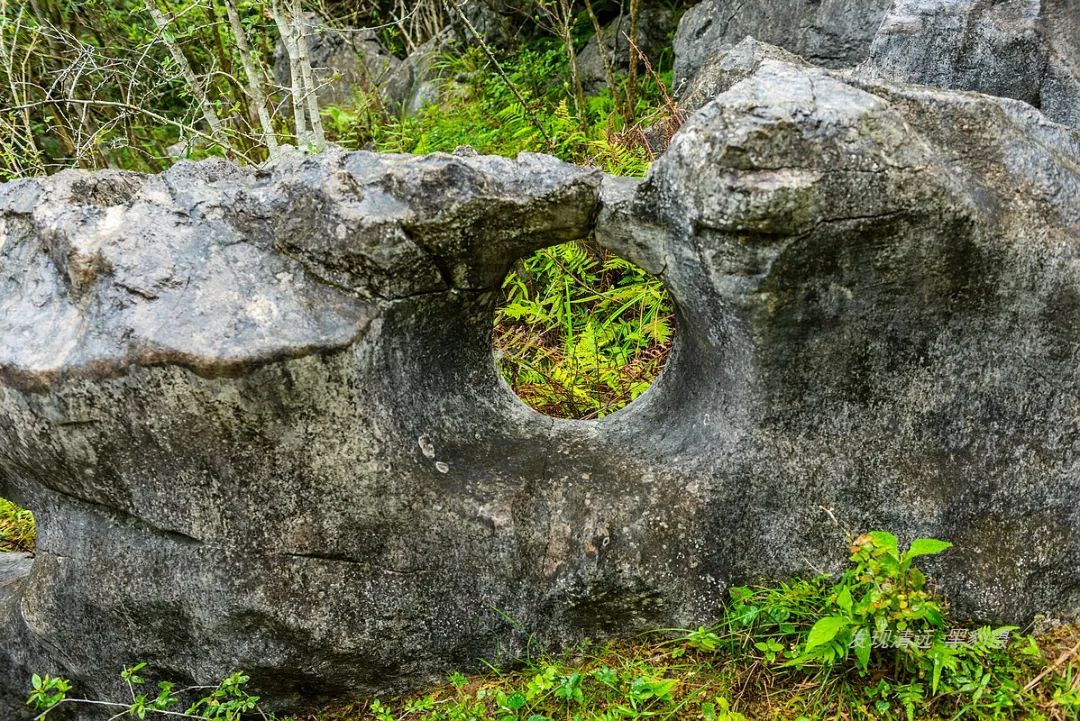 徒步穿越秦岭无人区,徒步穿越喀斯特森林